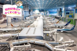 関空展望ホール スカイビュー・スカイミュージアム(大阪府)で空の世界を体感しよう!