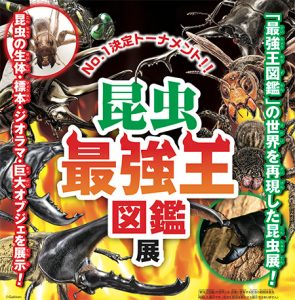 大人気書籍『昆虫最強王図鑑』がついにリアルイベントに!池袋会場7/15、秋田会場7/14から開催