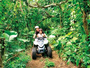 沖縄でジャングル体験!やんばるの森探検や大迫力のジャングルバギーツアーなど