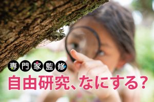 自由研究  楽しいテーマ探しのアイデア  簡単キットはダメ? 子どもの日常にヒントあり!