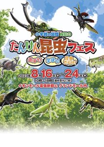 「小学館の図鑑NEO たんけん昆虫フェス」イオンモール幕張新都心にて8/16から初開催！