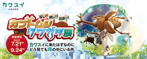 川崎水族館で昆虫採集？「探して！触って！森遊び！カブトムシ・クワガタ展〜カワスイに来たはずなのにどう見ても森の中にいる件〜」7/21～9/24開催