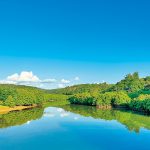 【沖縄北部】子連れで楽しいおすすめドライブコース！大自然の絶景を満喫しよう