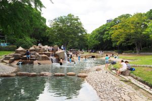 平塚市総合公園の水遊び場や4つの遊具広場で遊ぼう!ふれあい動物園やプールもおすすめ
