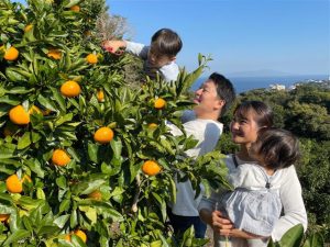 伊豆・浜松など静岡県の秋の味覚&果物狩り！梨狩り・みかん狩りなど