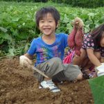 全国のさつまいも掘り体験52選！収穫時期・種類・おすすめ農園などをチェック