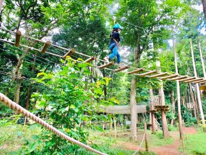 千葉県のアスレチック14選！空中・水上コースやジップライン、公園の無料大型遊具も