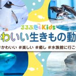 子どもにおすすめ！かわいい生きもの動画♪　#かわいい#楽しい#癒し#水族館に行こう
