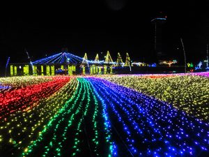東海のイルミネーション25選（2024-2025）テーマパークや無料の公園など子連れにおすすめ