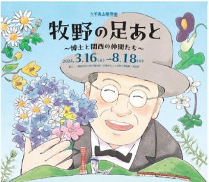 兵庫・六甲高山植物園で牧野富太郎にまつわる企画展「牧野の足あと ～博士と関西の仲間たち～」を3/16～開催