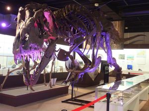 中国の恐竜の博物館・公園・テーマパーク9選!夜の恐竜が幻想的(岡山・広島ほか)