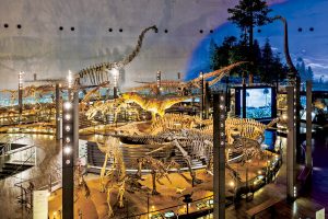 “世界3大恐竜博物館”『福井県立恐竜博物館』 最新のみどころを徹底解説! 基本情報も