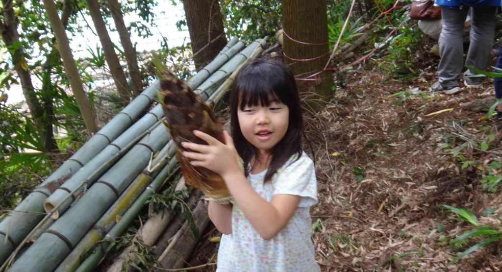 たけのこ掘りの様子/「寺山竹の子園」(東京都/日の出町)
