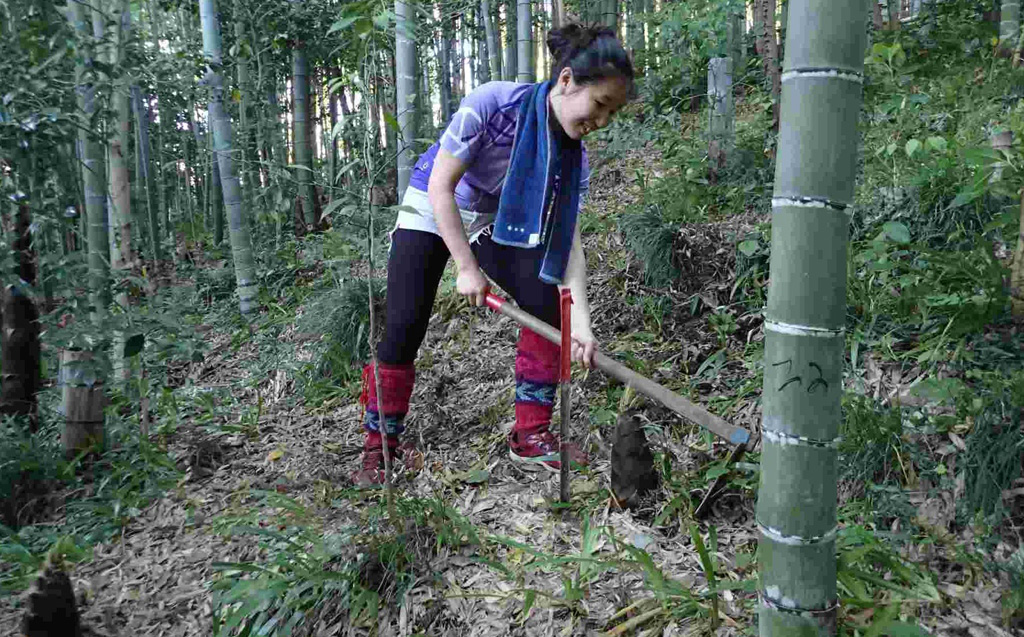 たけのこ掘りの様子/「寺山竹の子園」(東京都/日の出町)