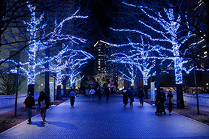 ヨコハマミライト2025 ～みらいを照らす、光のまち～（神奈川県横浜市）