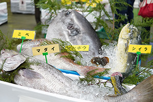 横浜市場まつり2025（神奈川県横浜市）