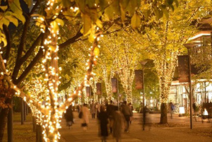 2025たちかわイルミネーション（東京都立川市）