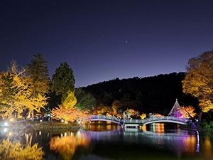 秋遊び2025～来て、見て、体験して 誰かに教えたくなるDays～（東京都町田市）