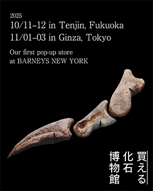 買える化石博物館ポップアップ（東京都中央区）
