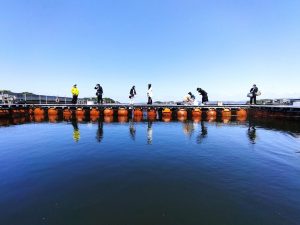 南紀白浜で海釣り体験!カタタの釣堀で釣ったマダイ・イサキなどをホテルの夕食で堪能