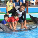 2025夏休みの水族館イベントまとめ！夜の体験やずぶ濡れショー、自由研究できる展示も