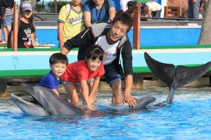 2025夏休みの水族館イベントまとめ！夜の体験やずぶ濡れショー、自由研究できる展示も