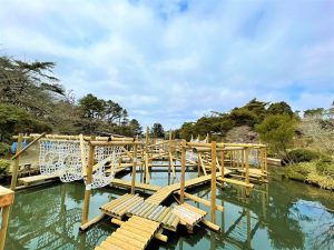 日本最大級の六甲山アスレチックパークGREENIAで子どもと遊ぼう！フィッシャーズ監修に注目