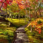 神奈川県で紅葉がおすすめの公園・庭園など10選（10月下～12月中）子どもと秋散歩！