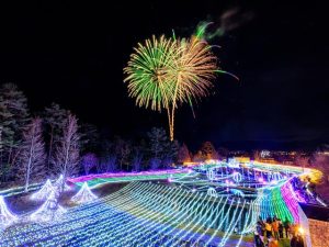 甲信越・北陸のイルミネーション15選(2024-2025)公園など子連れにおすすめ