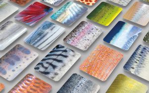 兵庫・アトアで「さかなかるた展」開催　ウロコの凹凸まで再現された「さかなかるた」の拡大展示で色彩やきらめきを体感