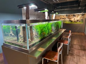 みなとやま水族館・ニジマス釣りが人気のNATURE STUDIOをレポ!子連れランチも充実