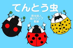 てんとう虫を観察しよう!幼虫時代や種類・名前の由来・食べ物などを徹底解説