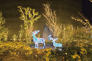 NEW SEAPORTナイトライト2024-2025 （兵庫県／神戸市）