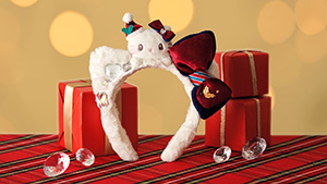 NO LIMIT! クリスマス	（大阪府／大阪市）