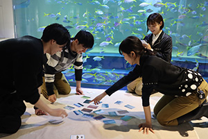 さかなかるた展（兵庫県／神戸市）