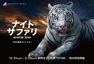 ナイトサファリ WINTER ２０２５ （和歌山県/白浜町）
