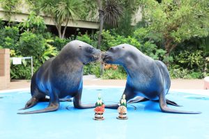 東京・サンシャイン水族館「お正月2025」開催 エイからのお年玉がもらえる⁈  お正月限定、縁起の良い生物たちに会える!