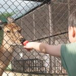 山形県の無料スポット・遊び場14選！ふれあいが人気の動物園や鹿に会える公園など