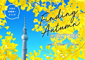 Finding Autumn in SKYTREE（R）（東京都/墨田区）