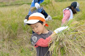 「ポケマルおやこ地方留学」って？食が生まれる現場をじっくり楽しく体験