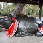 【取材レポ】北野天満宮で子どもの学業成就や合格祈願を！撫牛の由来や梅苑「花の庭」も紹介