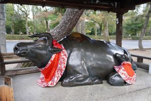 【取材レポ】北野天満宮で子どもの学業成就や合格祈願を!撫牛の由来や梅苑「花の庭」も紹介