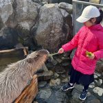 雨でもOK！関東の屋内動物園・動物ふれあいスポット11選（東京・神奈川・千葉ほか）