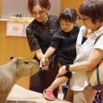 雨でもOK！東海の屋内動物園・動物ふれあいスポット9選（静岡・岐阜・愛知・三重）