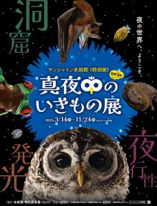 東京・サンシャイン水族館で「真夜中のいきもの展」開催 暗闇の中を探検するワクワク感が楽しめる特別展