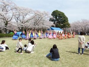 兵庫県で桜・お花見がおすすめの大型公園(2025)子ども連れで桜散歩!