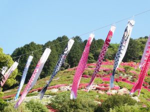 静岡・姫の沢公園で「つつじ・こいのぼりまつり」開催 GWにはステージイベントやミニ電車体験、広場の無料開放も!