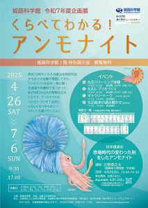 兵庫・姫路科学館で「くらべてわかる!アンモナイト」開催 化石クリーニングやレプリカづくりなど楽しい体験も登場