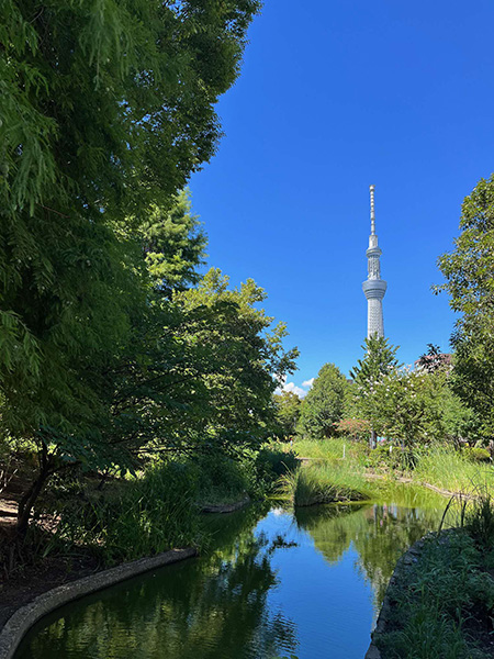 万華池/大横川親水公園(東京都/墨田区)