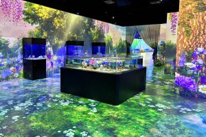 東京・マクセルアクアパーク品川で「NAKED FLOWER AQUARIUM」開催中 新たに紫陽花水槽や雨降る水槽が登場